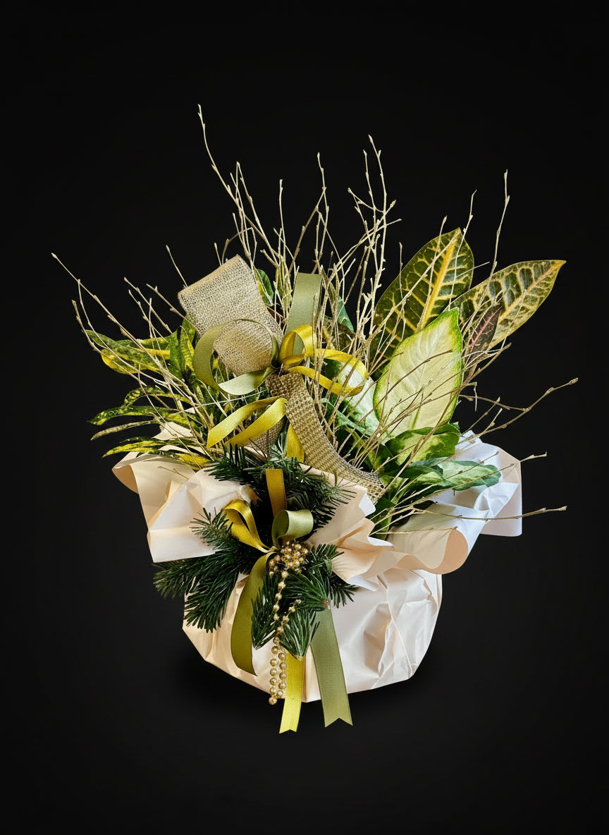 Composizione con piante da interno in ciotola di vetro